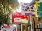 House prices set to increase up to 7% next year despite Brexit