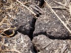 YELLOW WARNING of hydrological drought across Moldova