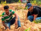 In just 12 hours, Indian volunteers planted 66 million trees