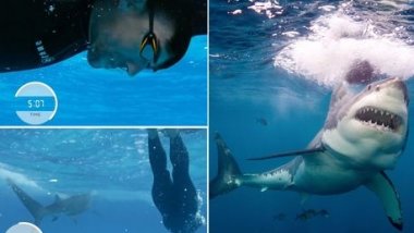 Michael Phelps vs Shark: Results of Olympic swimmer's race against ocean's most fearsome predator