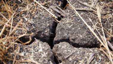 YELLOW WARNING of hydrological drought across Moldova