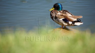 Weather forecast for coming days