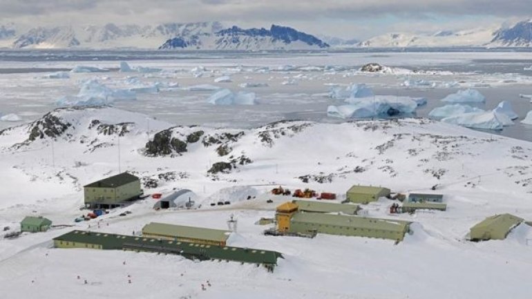 First couple to marry in British Antarctic Territory - one of most remote places on Earth 