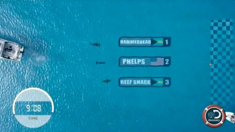 Michael Phelps vs Shark: Results of Olympic swimmer's race against ocean's most fearsome predator