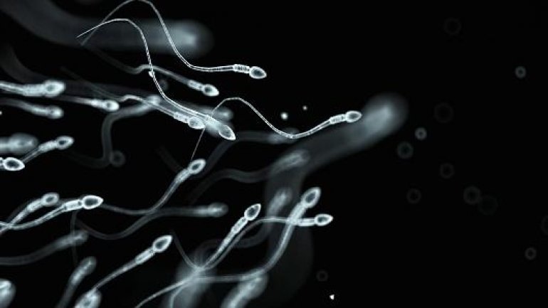 Sperm counts of Western men falling sharply, analysis finds