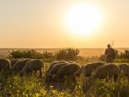 Moldova landscapes amazed foreign photographers in "Discover the routes of life" 