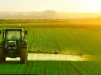 Floreşti District registers richest harvest of cereal 