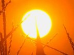 YELLOW Warning of hot weather across Moldova comes back!