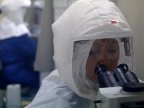 'There are things worse than death': can a cancer cure lead to brutal bioweapons?