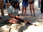 Kids from Transistria to be instructed fighting & weapons 