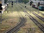 Driver taken to hospital, after collision with a freight train near Cimislia station