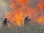 Multiple fires burst out all over Moldova