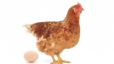 Europe’s egg crisis: Seven nations now impacted by contaminated Dutch produce