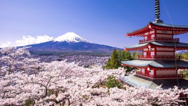 Good news! Moldovans no longer apply Japanese VISA in Kiev 