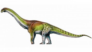 Biggest dinosaur ever discovered in Argentina