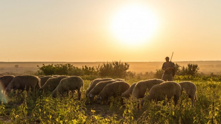 Moldova landscapes amazed foreign photographers in "Discover the routes of life" 