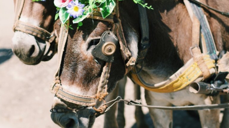 Moldova landscapes amazed foreign photographers in "Discover the routes of life" 