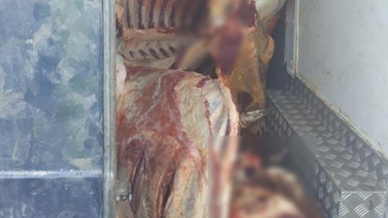 Half a ton of meat lacking documents detected by National Inspectorate Patrol