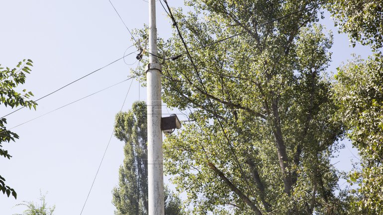 Cameras put in action only after drinking fountains from Valea Morilor Park were destroyed twice