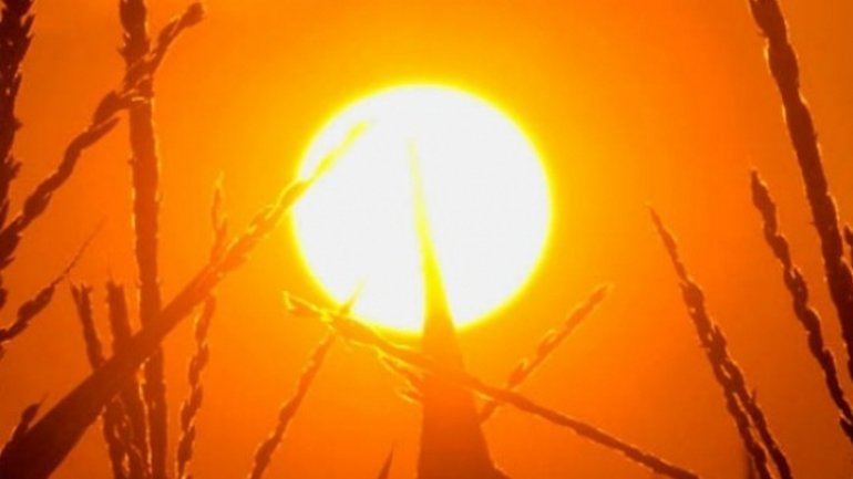 YELLOW Warning of hot weather across Moldova comes back!