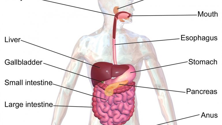 Moldovans suffering from Gastroenterocolitis double in 2017