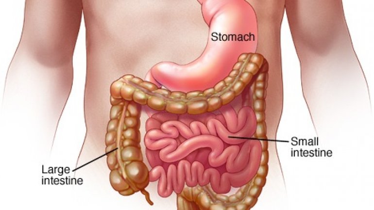 Moldovans suffering from Gastroenterocolitis double in 2017