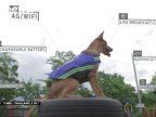 New four-legged Knight to guard the streets of Bangkok