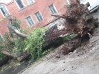 Fallen branches finally evacuated from Capital