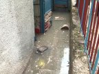 Basement of an apartment block from Botanica flooded from broken pipe