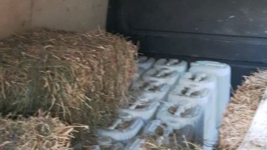 Citizen of Chisinau caught for hiding over a ton of Ethanol in hay