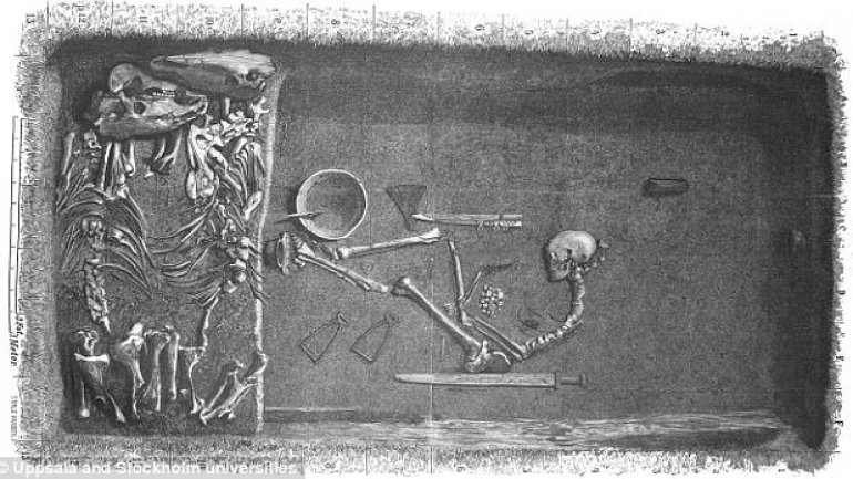 First female viking found from bones excavated back in 1880s