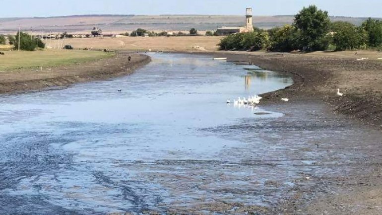 Parliament had discussed ecological disaster from Căzăneşti village