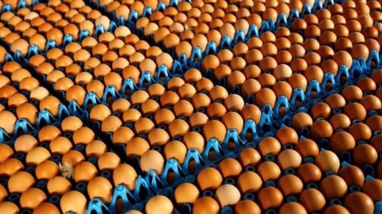 Contaminated eggs found in 40 countries