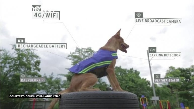 New four-legged Knight to guard the streets of Bangkok