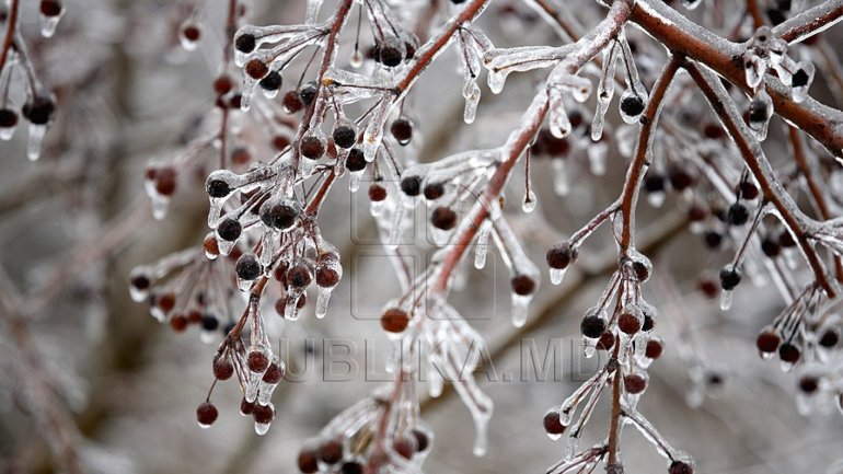 Meteorologists issued frost warning for coming days in Moldova