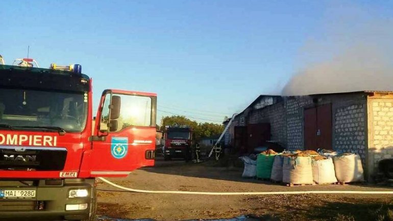 Pallet warehouse from Orhei consumed by flames