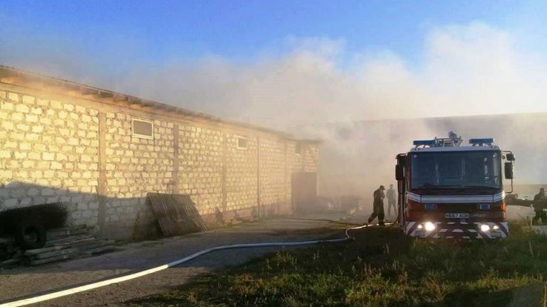 Pallet warehouse from Orhei consumed by flames