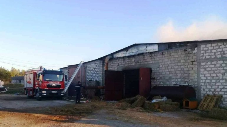 Pallet warehouse from Orhei consumed by flames