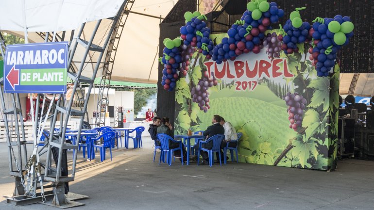 Fresh wine drained from crusher to please visitors in Tulburle Festival 2017 (PHOTOREPORT)