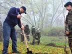 More than 10 million trees will be planted within the National Tree Planting Day 