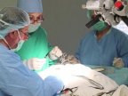 Surgery sections in Municipal Hospital no.1 to be modernized and reopened 