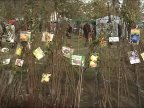 Farmers in Zaim village's Sapling Festival grabbed chances to promote their local brands (video)