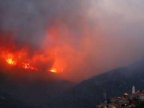 France's Corsica wildfire devastates 2,000 hectares of forest