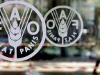 FAO launches project worth $125,000 dedicated to agroecology in Moldova