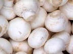 18 cases including 5 children hospitalized due to mushroom poisoning 