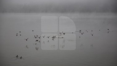 Weather Forecast for coming days in Moldova 