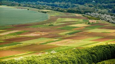 Landlords able to build guesthouse without plot change, initiative by Parliament 