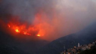 France's Corsica wildfire devastates 2,000 hectares of forest