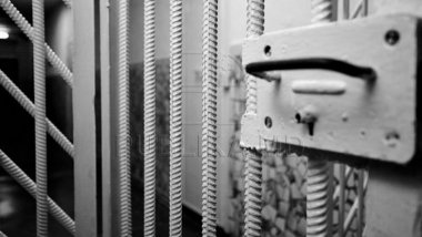 Bars are not an obstacle for the professional achievement