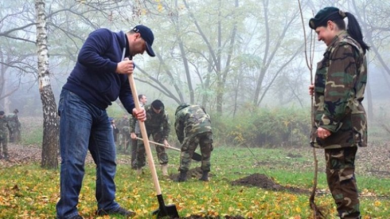 More than 10 million trees will be planted within the National Tree Planting Day 